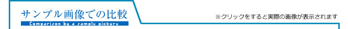 サンプル画像での比較