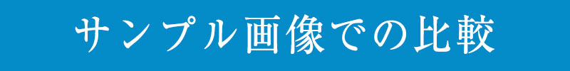 サンプル画像での比較