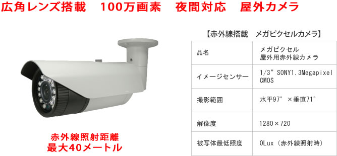 赤外線搭載メガピクセルカメラ