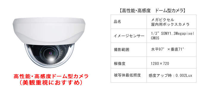 ドーム型メガピクセルカメラ